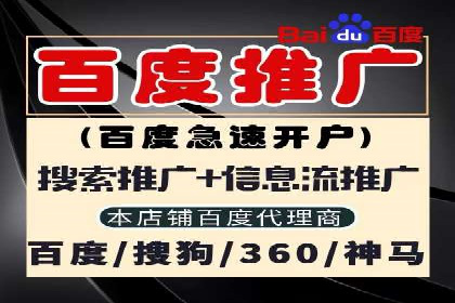 SEM外包策略在电商平台的成功案例